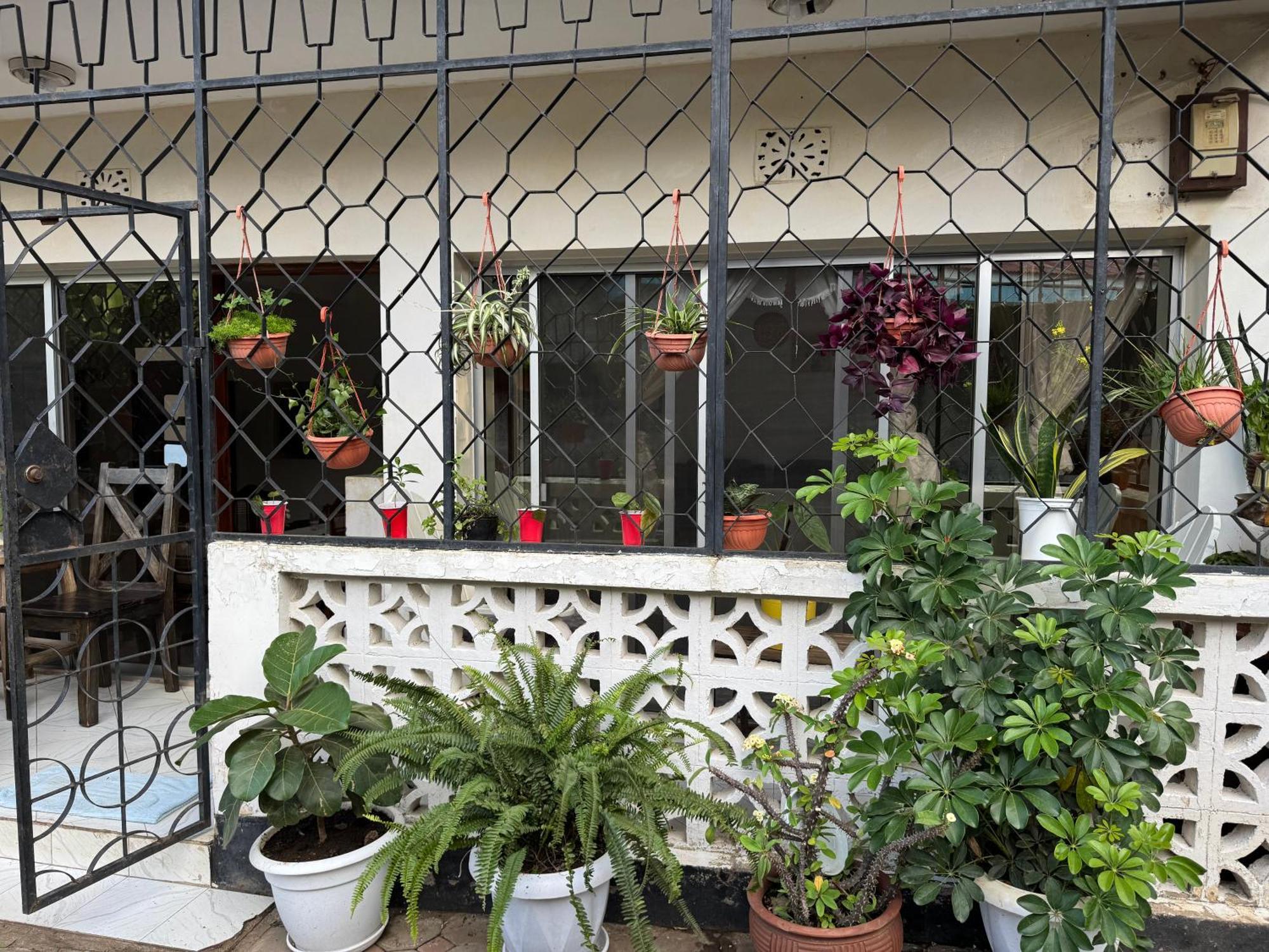 Wakawaka Hostel 아루샤 외부 사진